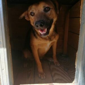 JOSO - reserviert PDR PS in PLZ 2 - vermittelt