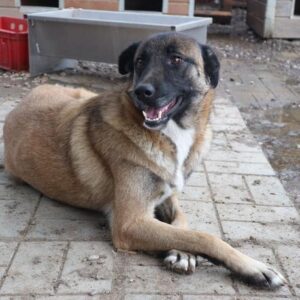 JUANITA - reserviert Manuela - vermittelt