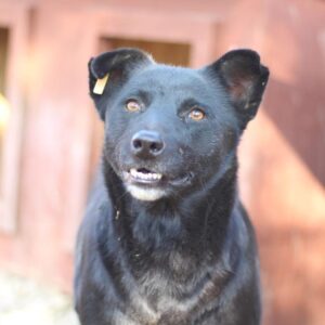 KAYLA - vermisst 08/21 -