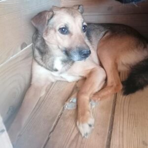 KENZO - vermisst 09/23