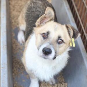 KLECKS - reserviert TH Koblenz - vermittelt