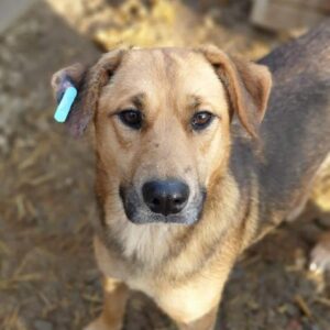 LOISIANA - vermisst 08/21