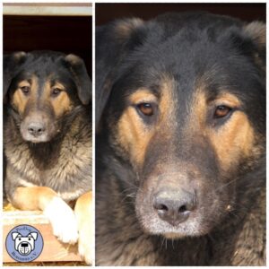 LOKI - vermisst 11/24