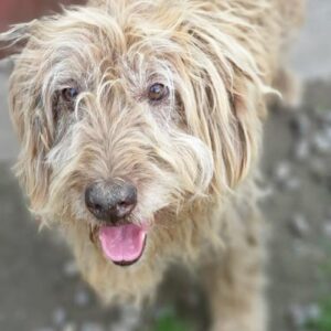 LOUH – vor Ort vermittelt