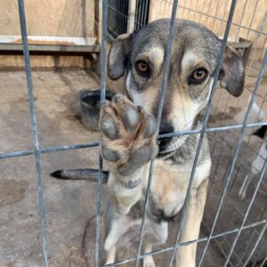 MALORY - RBB 30.05.2022