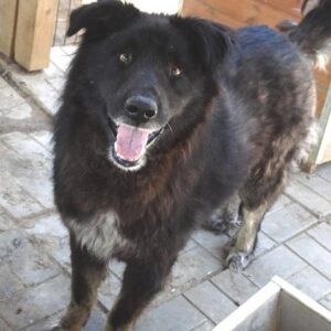 MALTHE reserviert Manuela - vermittelt