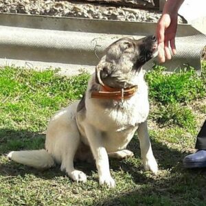 MARIA - vor Ort adoptiert