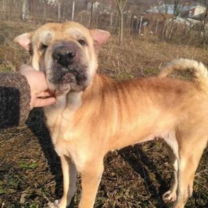 MARIELE - vor Ort vermittelt 03/23