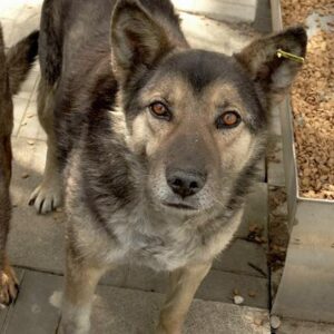 MARLO - reserviert Manuela - vermittelt