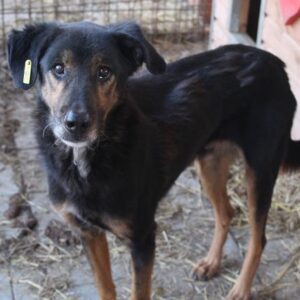 MARVIN - RBB 11.07.2022