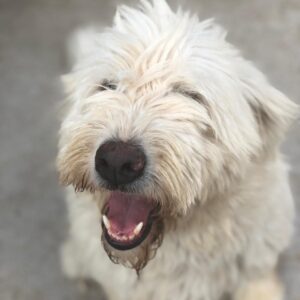 MARYLIN - reserviert Manuela vermittelt