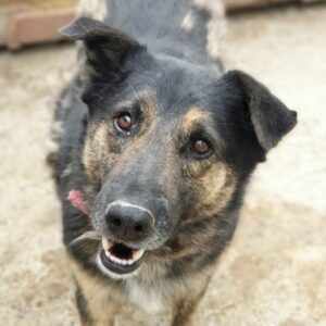 MASTER - reserviert KM - vermittelt