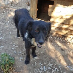 MATIS - reserviert Manuela - vermittelt