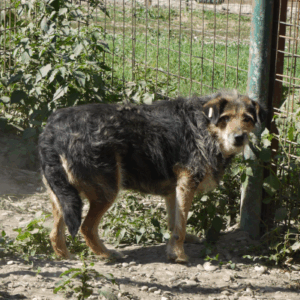 MAURY - vermisst 04/2023