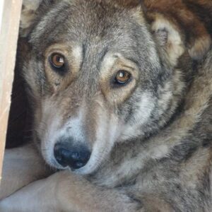 MAXIME - vermisst 11/2021