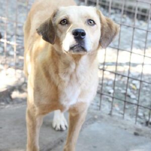 MENOWIN - vermisst 2021