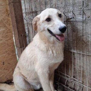 MILES - reserviert Manuela - vermittelt