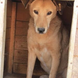 MIRABELLE - vermisst 08/21