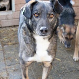 MIROSCH - vermisst 08/21