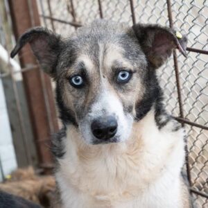 MOANNA - vermisst 12/22