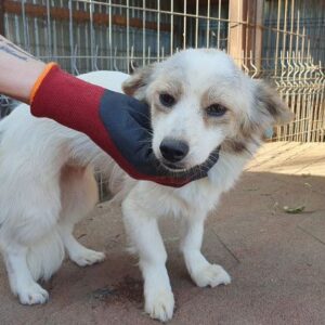 MINNY - ausgereist zum TST Rösrath