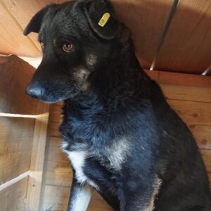 OBITO - reserviert NadineH - vermittelt