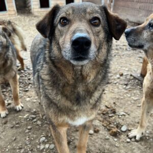 KADIA - vermisst 07/23