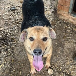 PERA - auf PDR PS im PLZ Bezirk 7