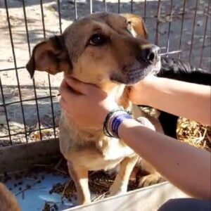 ELLA - vermittelt Kathleen Müller