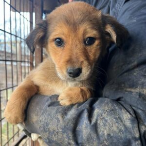 FEE - vermisst 01/24