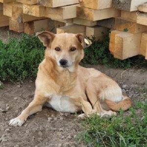 RITAH - vermisst 05/2022