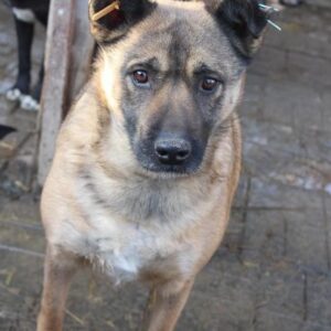 RUPPRECHT - vermisst 08/21