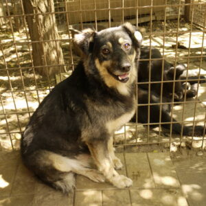 SAMILA - vermisst 10/21