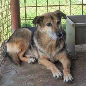 SMOKE - reserviert Manuela vermittelt