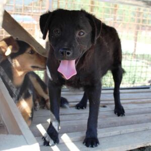 TACY - vermisst 03/2021