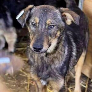 TAMIN - vermisst 01/23