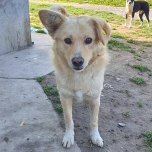 TARIBU - seit mindestens 2019 im Shelter