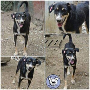 TASKO - vermisst 08/2021