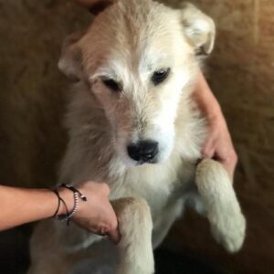 TELKO - reserviert Manuela - vermittelt