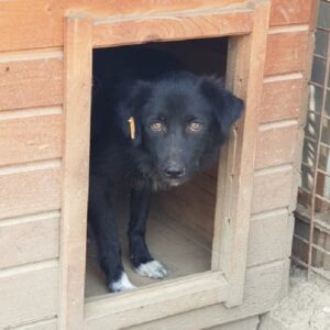 TENN - vermisst 11/2021