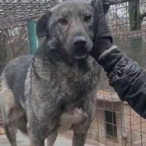 THELDO - reserviert NadineH - vermittelt