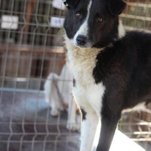 THEODORA - vermisst 08/21