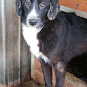 TIJANA - reserviert TH Burgdorf - vermittelt