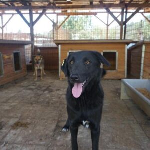 TINE - reserviert Manuela - vermittelt