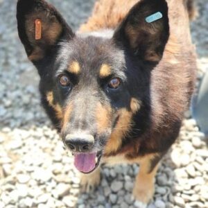 TRUDY - vermisst (seit 2021)