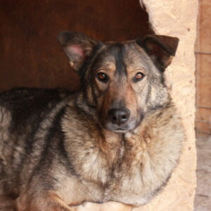 TALIPSO – reserviert TH Verlorenwasser - vermittelt