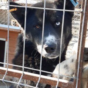 UNKAS - reserviert Anna - vermittelt