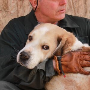 UOMO - reserviert Manuela - vermittelt