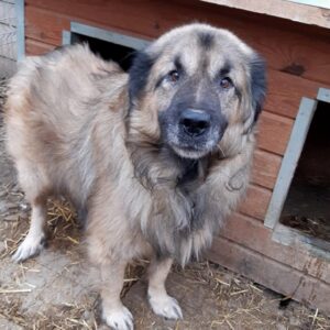 VENTRO - reserviert Manuela - vermittelt