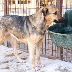 WAYDA - vermisst 04/2023